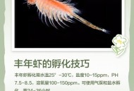 新疆沙漠盐水丰年虾,丰年虫在淡水中能活多长时间？