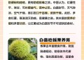 白露必吃的6种食物,白露之后吃什么食物好？