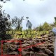 8岁男孩失联40多天,杭州18岁男孩失联40多个小时，监控拍下揪心一幕, 你怎么看？