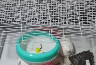 走出空调房冷中暑,亚克力仓鼠笼在空调房间里会中暑么？