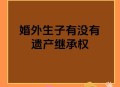 私生子索要千万遗产,私生子有权和原配争遗产吗？