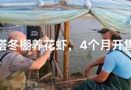 车棚起火烧上百辆车,冬棚虾养殖应该注意哪些问题？