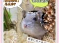 住全季半夜被老鼠咬,被老鼠咬了会怎么样？