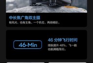 无人机马蜂空中大战,无人机追马蜂怎么调最清晰？