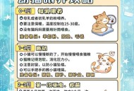 就餐获小朋友投喂,猫咪喂饭的正确方法？