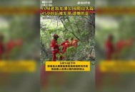 千万建10个厕所被查,