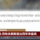 美2议员夫妇遭枪击,如何看待美国白人驾车撞死中国人，并涉嫌搬动受害者破坏现场，却只被判刑一年？