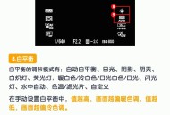 拍单软件教程,拍单软件教程手机版