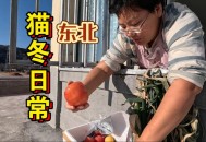 东北大冰箱营业了,东北有冰箱吗？