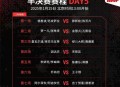 印尼公开赛国羽9胜,2015世锦赛国羽成绩？