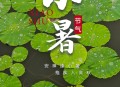 今日小暑,今天是小暑第几天？