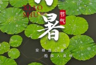 今日小暑,今天是小暑第几天？
