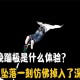 蹦极点自拍致坠亡,去蹦极可以自己自拍么？