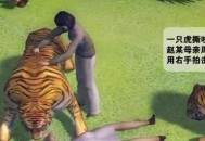 在动物园被老虎咬伤,如果老虎咬了人，是不是一定会被击毙？