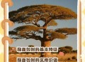 男子种猴面包树18年,男子种猴面包树18年有两棵达结果要求