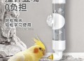 鹦鹉开饮水器喝水,鹦鹉饮水器的正确用法？
