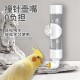 鹦鹉开饮水器喝水,鹦鹉饮水器的正确用法？