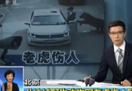 在动物园被老虎咬伤,在动物园被老虎咬伤怎么办