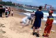 游泳溺水妻子崩溃,游泳溺水妻子崩溃视频