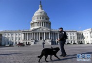 赴加拿大团队游恢复,如何看待加拿大宣布将美国国会山暴乱团体列入恐怖组织名单？