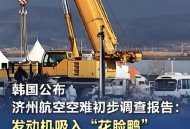被吸入飞机引擎身亡,飞机发动机吸入异物会怎么样？