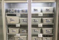 政府食堂国庆开放,政府食堂国庆开放时间