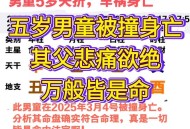 发病身亡压死儿子,撞死小孩赔偿多少万？
