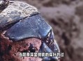 兵马俑上现工匠指纹,2200年兵马俑嘴上指纹谁发现的？