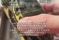 小孩被天降乌龟砸死,被天上掉下来的乌龟砸死的人
