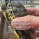 小孩被天降乌龟砸死,被天上掉下来的乌龟砸死的人