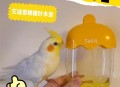 鹦鹉开饮水器喝水,鹦鹉不吃新买的饮水器怎么办？
