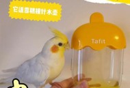 鹦鹉开饮水器喝水,鹦鹉不吃新买的饮水器怎么办？
