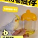 鹦鹉开饮水器喝水,鹦鹉不吃新买的饮水器怎么办？