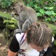 对小猴竖中指被追打,对猴子竖中指
