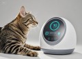 猫在偷听时很明显,除小米应用物联网外还有哪些公司做智能家居？代表性智能家居产品有哪些？