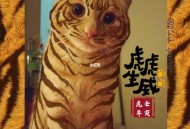 索尼反对顽皮猫商标,什么是顽皮狗？