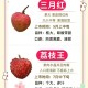8岁男孩花1万购荔枝,男生买十箱荔枝什么意思？