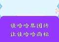 娃哈哈旗下公司更名,娃哈哈公司全名