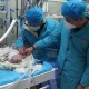 台早产女婴术后瘫痪,早产儿手术后度过危险期