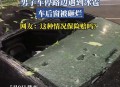 整车西瓜被冰雹砸烂,西瓜被冰雹砸了保险赔吗