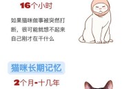 猫也会得痴呆症,猫也会得痴呆症吗