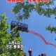 过山车故障被索5万,无锡过山车故障怎么处理的赔偿？