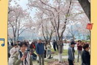 毛孩子成新流量密码,流量什么是初始密码？