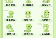 旅游回家客厅爬满蛇,旅游回家客厅爬满蛇什么意思