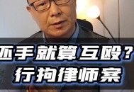 还手即互殴成为历史,还手就是互殴这样的法律合理吗？