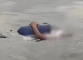 冲浪遭鲨鱼袭击身亡,冲浪遭鲨鱼袭击身亡视频