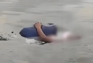 冲浪遭鲨鱼袭击身亡,冲浪遭鲨鱼袭击身亡视频
