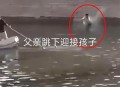 男孩体育考试后离世,游泳馆无证经营遭成员溺亡上级主管部门应如何赔偿？