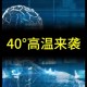 今年最强高温来袭,能抵御1000度高温的超强材料？