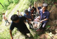 外婆救外孙双双溺亡,外婆带外孙女在自家水潭溺水身亡,孩子的父亲要告,外婆要承担责任吗？